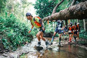 BIB: 
                            <button type="button" onclick="openModal(25375332)" class="btn btn-primary btn-sm float-right btn-popup" data-toggle="modal" data-target=".modal-high-quality">
                        <i class="fas fa-shopping-cart"></i> Add to Cart
                    </button>
                                            <button type="button" onclick="isThisMe(25375332, true)" class="btn btn-success btn-sm float-right btn-popup btn-isme hidden" data-toggle="tooltip" data-placement="bottom" title="นี่คือรูปของคุณใช่ไหม คลิกที่นี่เพื่อเอาเข้าอัลบั้ม">
                        <i class="fas fa-plus"></i> Add to album
                    </button>
                    <button type="button" onclick="isThisMe(25375332, false)" class="btn btn-warning btn-sm float-right btn-popup btn-isnotme hidden">
                        <i class="fas fa-ban"></i> Remove from album
                    </button>